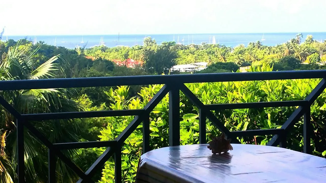 Studios Carribean Sea View Sainte-Anne